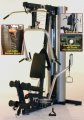 Natural Motion Gym 2000 Model